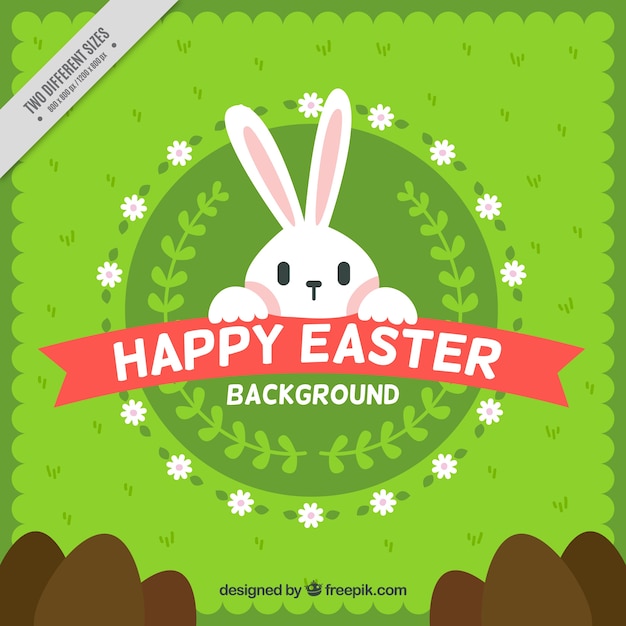 Free vector lovely bunny green background