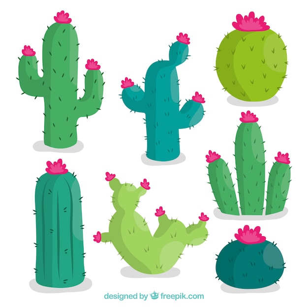 Vettore gratuito pacchetto cactus bello con stile colorato