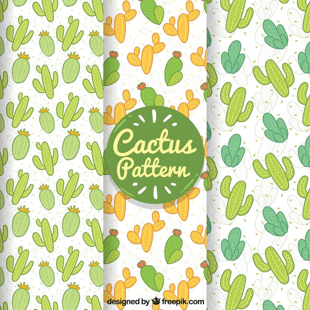 Lovely cactus patterns with hand draw style