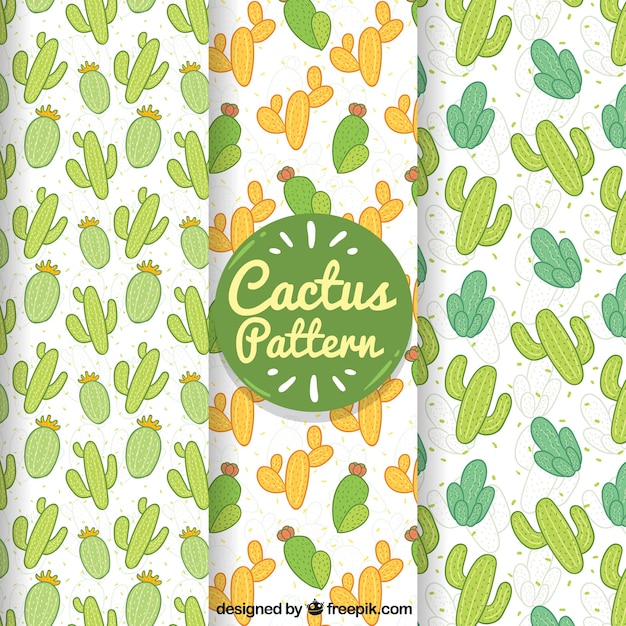 Прекрасные образцы кактусов с ручным рисунком