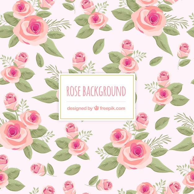 Free Vector lovely floral background with roses