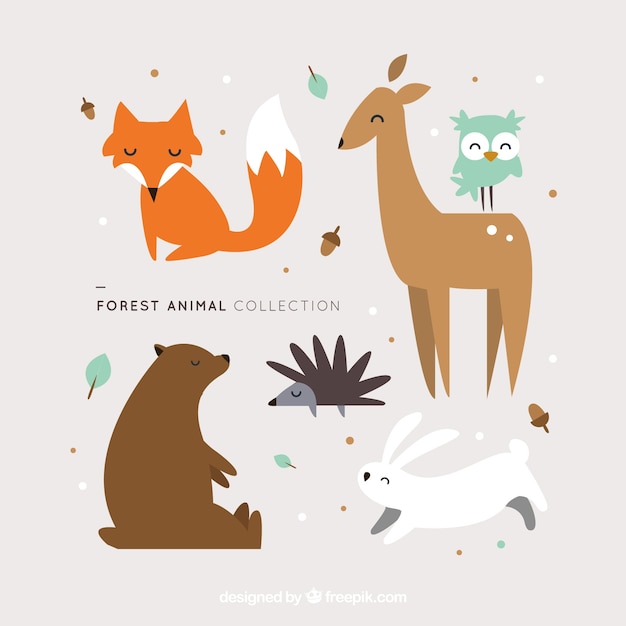 Lovely forest animals in flat design 