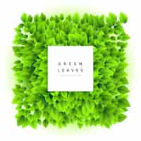 Free vector lovely green leaves bunch frame background