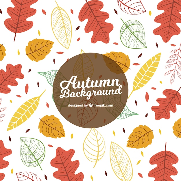 素敵な手を描いた秋の要素と葉の背景