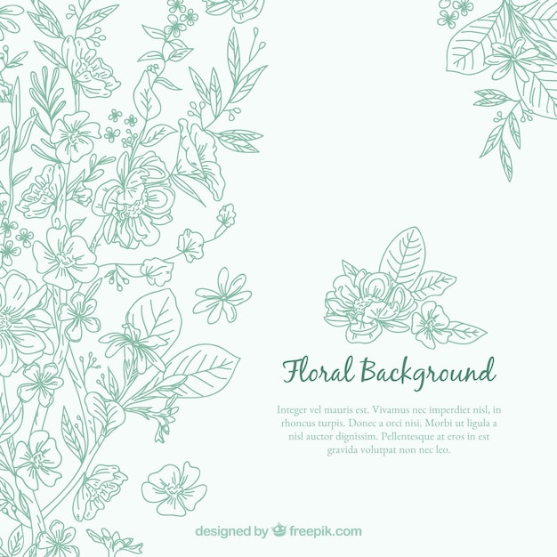 Lovely hand drawn floral background