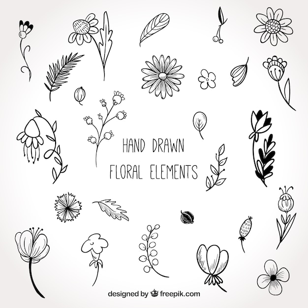 Lovely hand drawn floral element collection