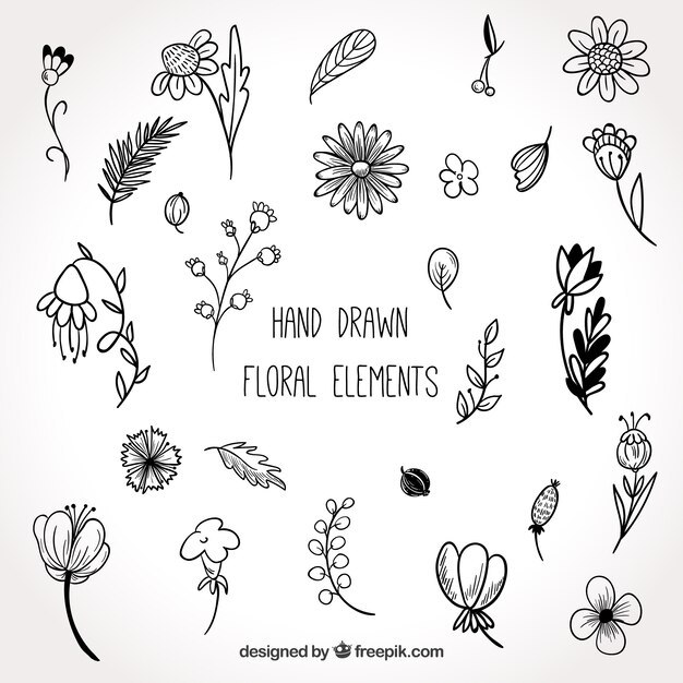 Lovely hand drawn floral element collection