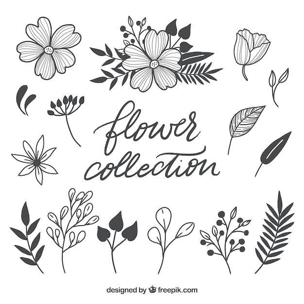 Lovely hand drawn floral element collection