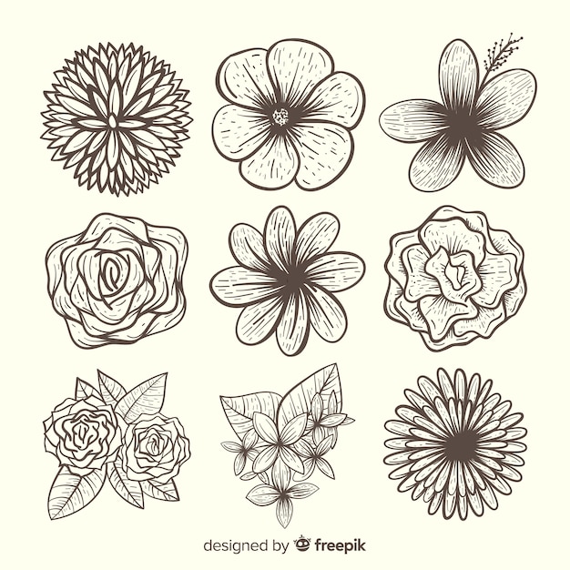 Free vector lovely hand drawn flower collection