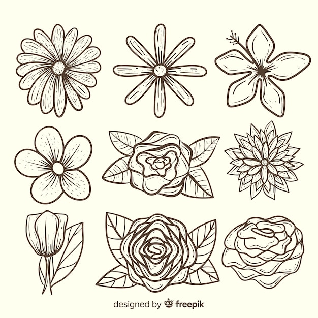 Lovely hand drawn flower collection