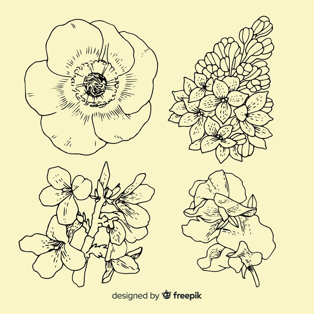 素敵な手描きの花のコレクション