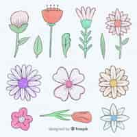 Free vector lovely hand drawn flowers collection