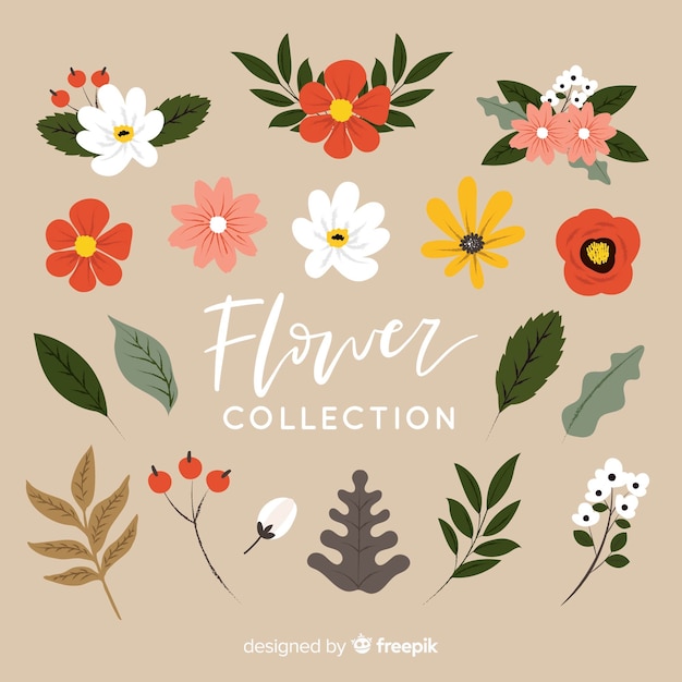 Lovely hand drawn flowers collection