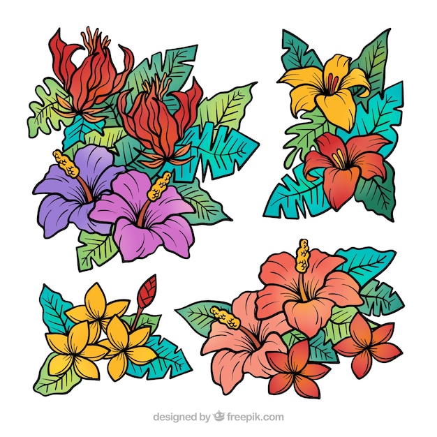 Lovely hand drawn tropical flower collection