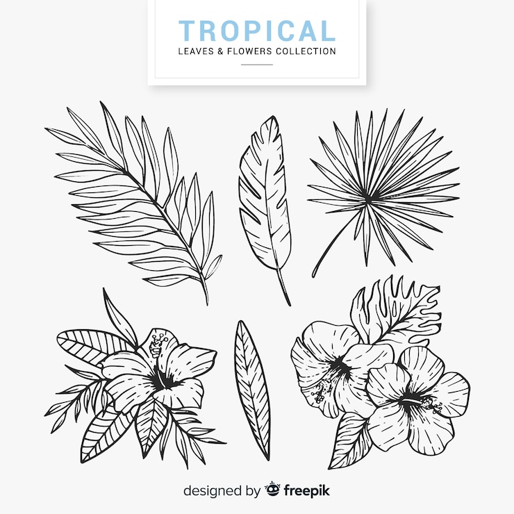 Free Vector lovely hand drawn tropical flower collection