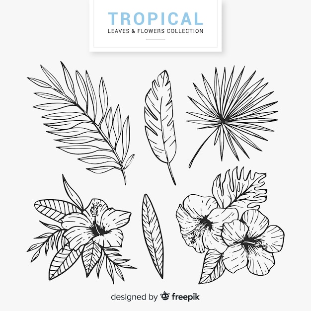 Lovely hand drawn tropical flower collection