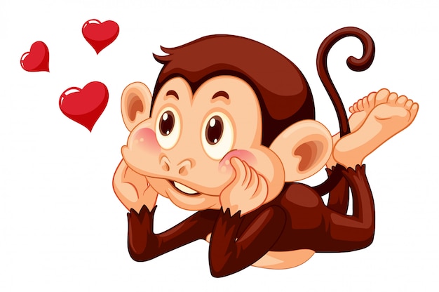 A lovely monkey on white background