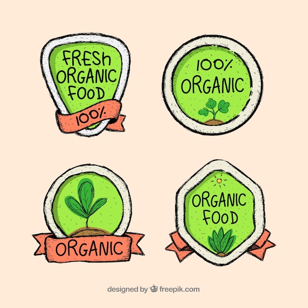 Free vector lovely organic food composition