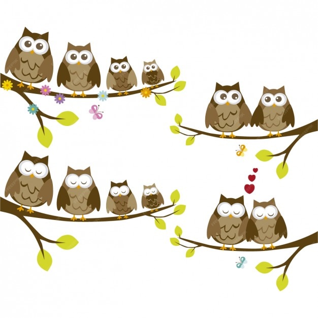 Owl 画像 無料のベクター ストックフォト Psd