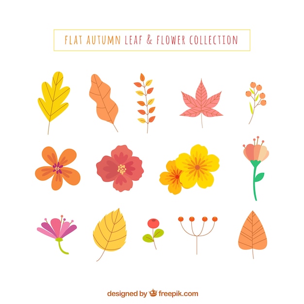 Lovely pack of autumnal leaves and flowers