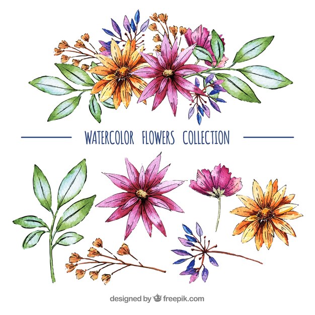 Lovely pack of watercolor floral elements