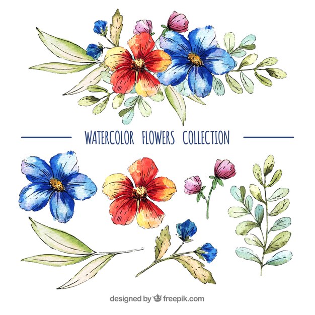 Lovely pack of watercolor floral elements