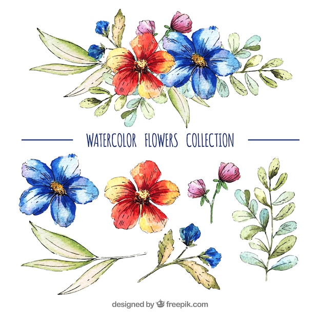 Lovely pack of watercolor floral elements