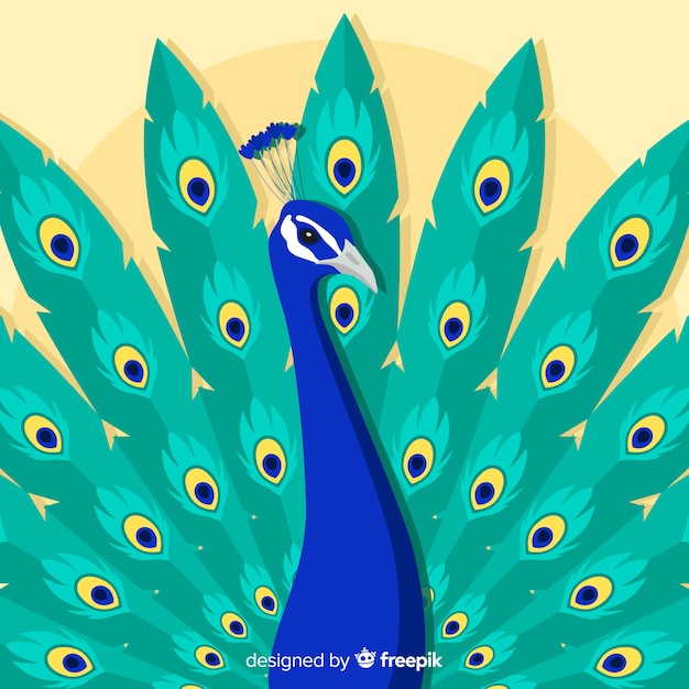 Free vector lovely peacock background