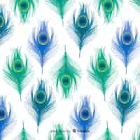 Free vector lovely peacock feather pattern with flat design