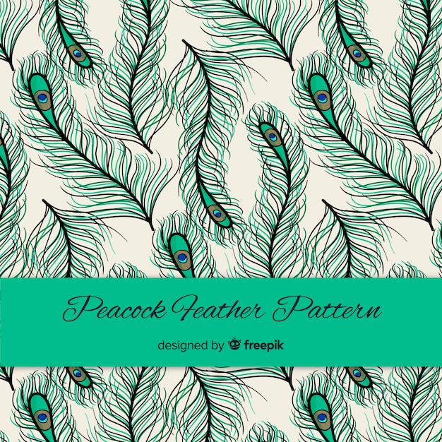 Free vector lovely peacock feather pattern with flat design