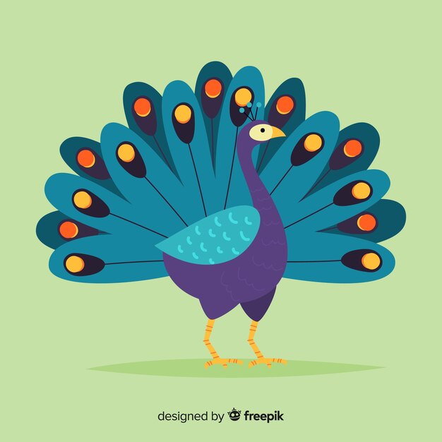 lovely peacock with flat design
