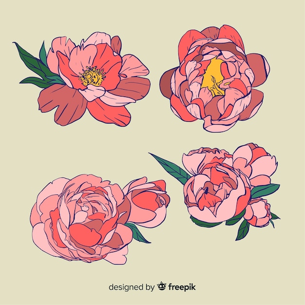 Lovely peony flower collection