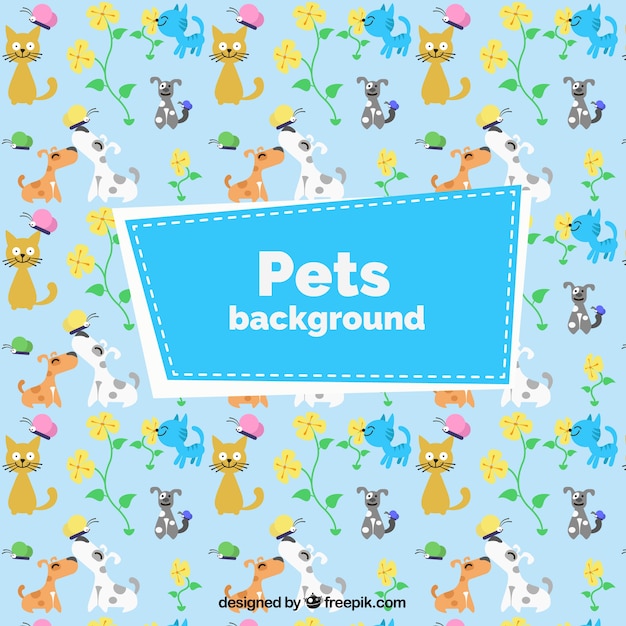 Lovely pets coloured background