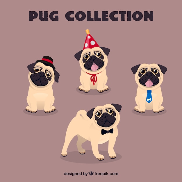 Free vector lovely pugs with funny elements