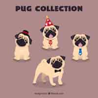 Free vector lovely pugs with funny elements