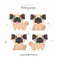 Free vector lovely pugs with happy faces