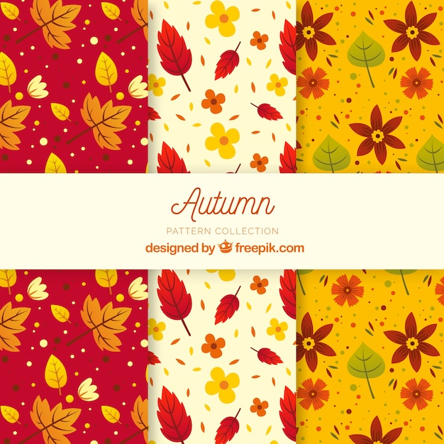 Free vector lovely set of autumn patterns