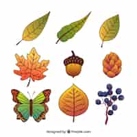 Free vector lovely set of autumnal elements