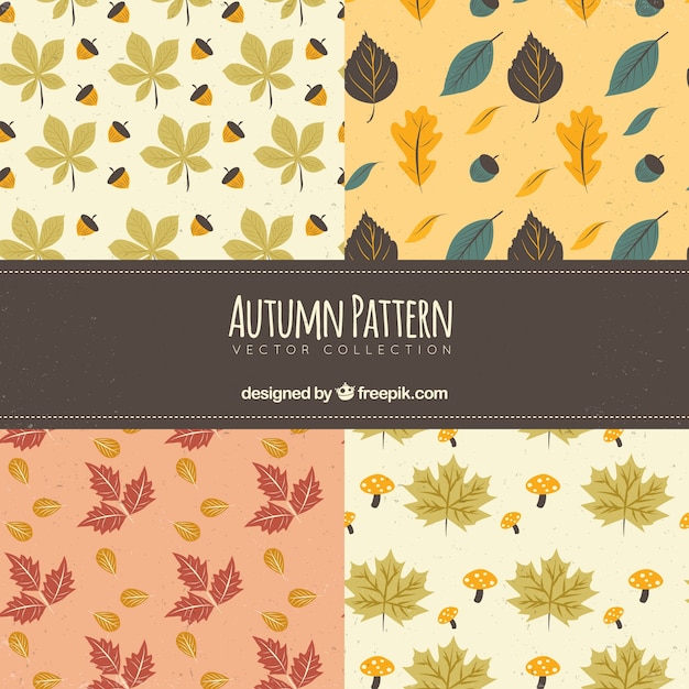 Lovely set of autumnal patterns