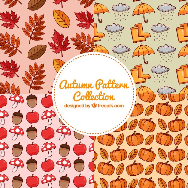 カラフルな秋のパターンの素敵なセット