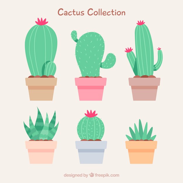 Прекрасный набор милых кактусов