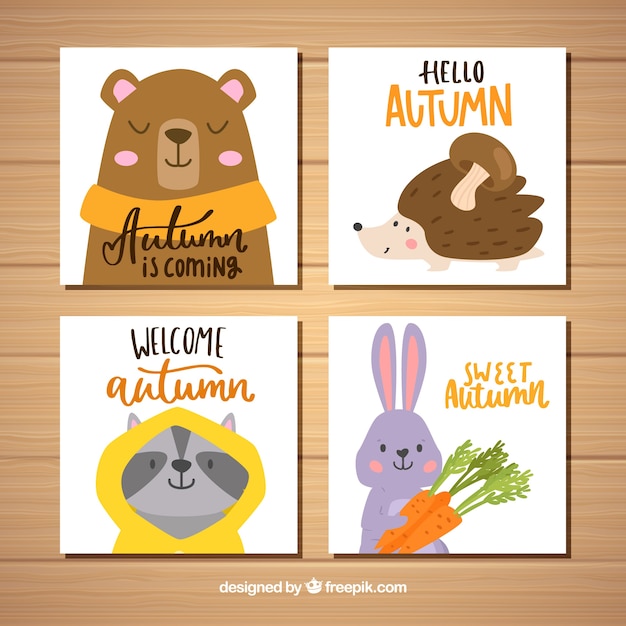 Free vector lovely set of hand drawn autumn cards