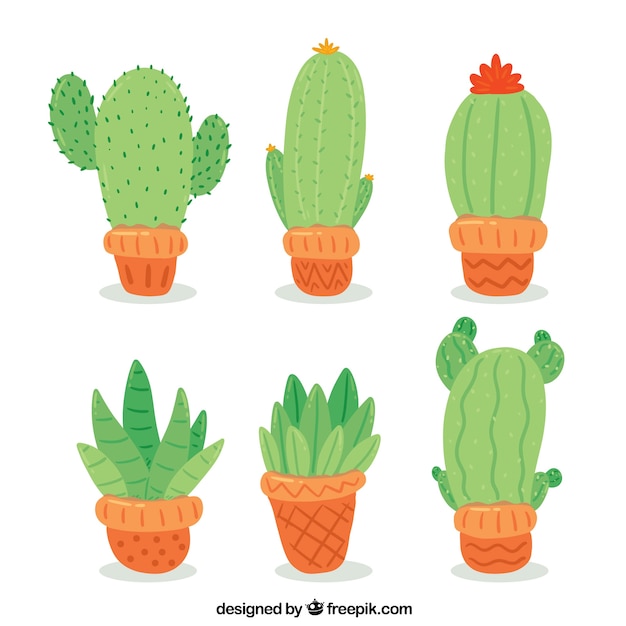 Bella serie di cactus disegnati a mano