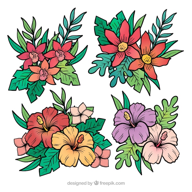 Bella serie di fiori tropicali disegnati a mano