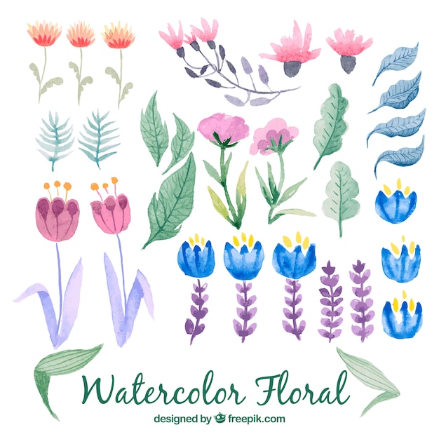 Бесплатное векторное изображение Прекрасный набор акварельных цветочных элементов