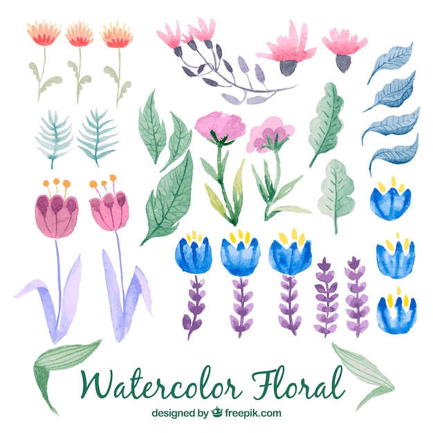 Lovely set of watercolor floral elements