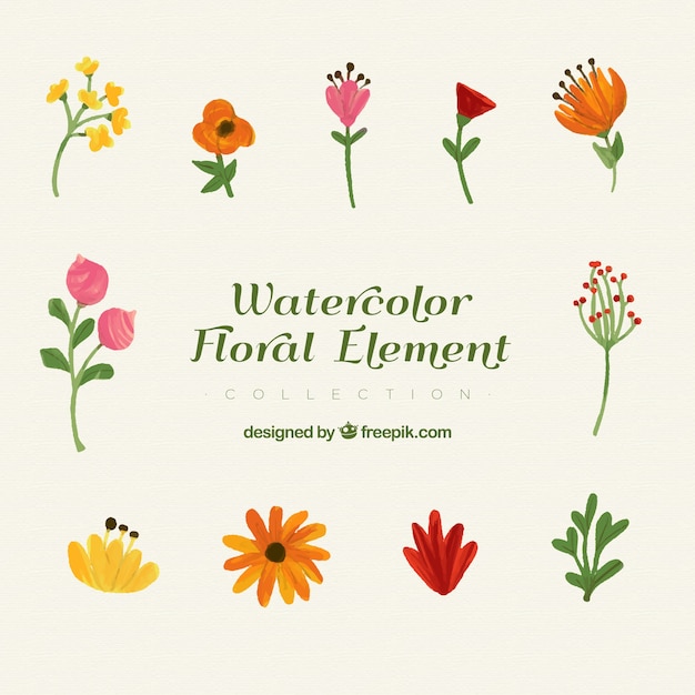 Lovely set of watercolor floral elements