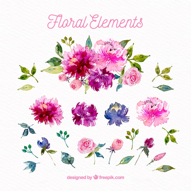 Lovely set of watercolor floral elements