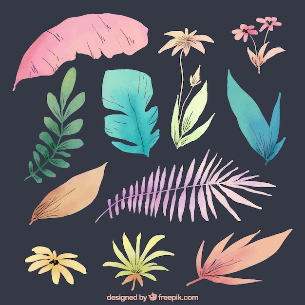 Free vector lovely set of watercolor floral elements