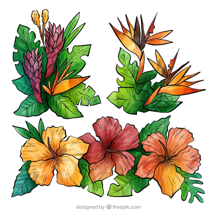 無料Vector 熱帯の花の水彩画の素敵なセット